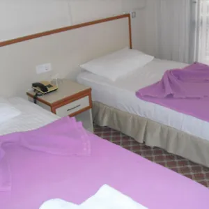 Hotel Kerman
